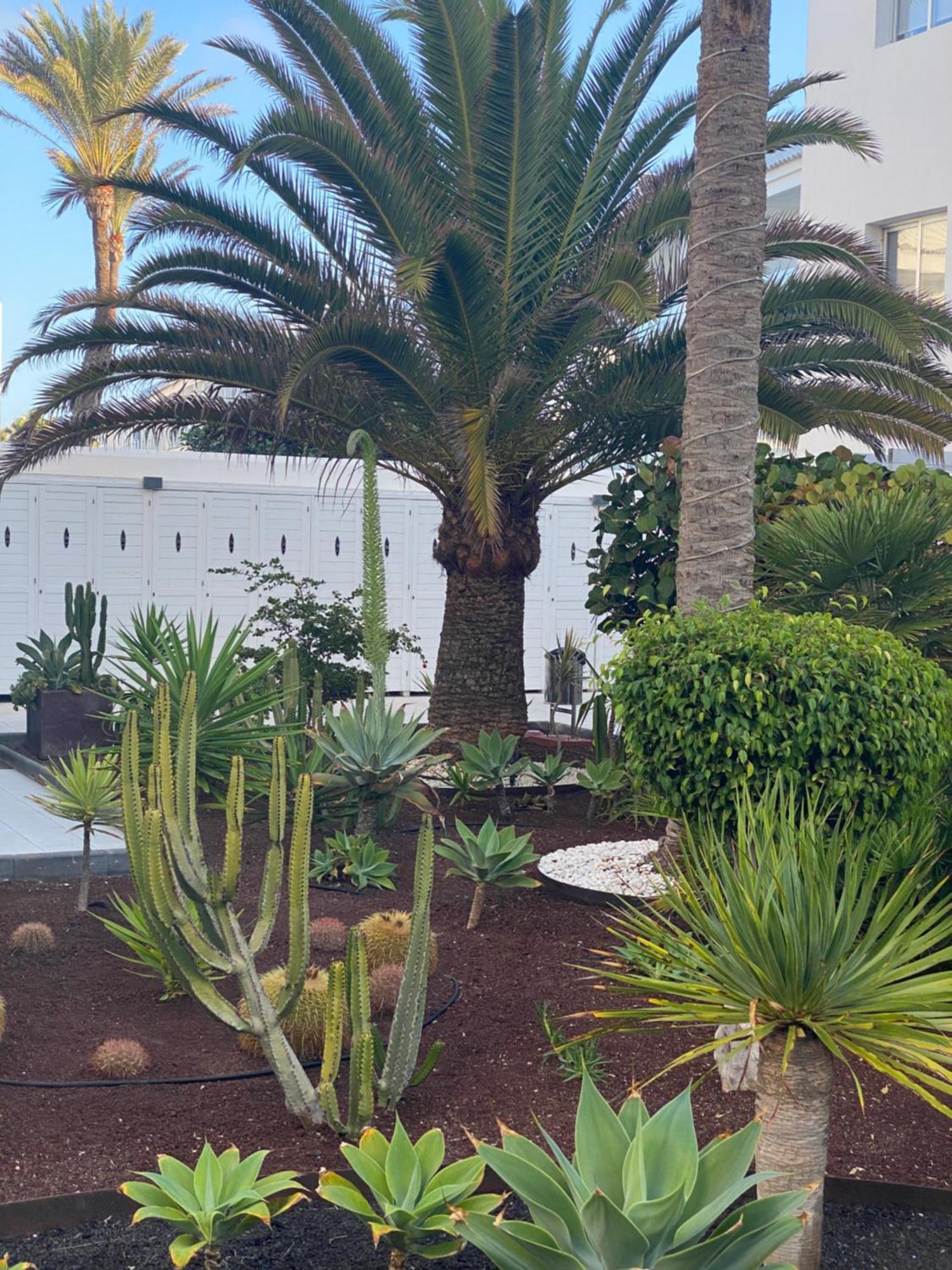 Sun And Surf Stay Corralejo Extérieur photo